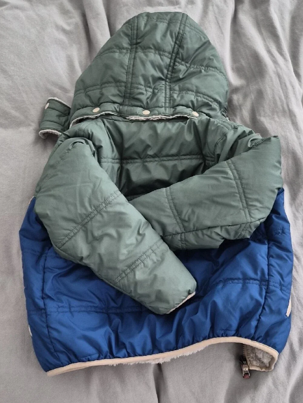 Patagonia Kids Colorblock Hooded Puffer Jacket in Sage Green & Royal Blue
